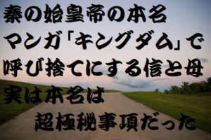 キングダム李信の最後は悲惨 嫁が超大物で子孫が王様になったって本当か 歴史専門サイト レキシル キングダム李信の最後は悲惨 嫁が超大物で子孫が王様になったって本当か 歴史専門サイト レキシル
