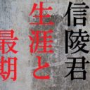 キングダム李信の最後は悲惨 嫁が超大物で子孫が王様になったって本当か 歴史専門サイト レキシル